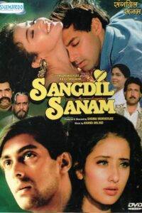 Sangdil Sanam (1994) Hindi HD