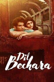 Dil Bechara (2020) Hindi HD