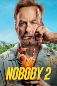 Nobody 2 (2025) Hindi Dubbed HD